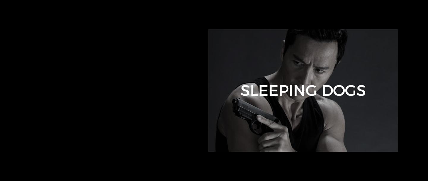 Sleeping Dogs