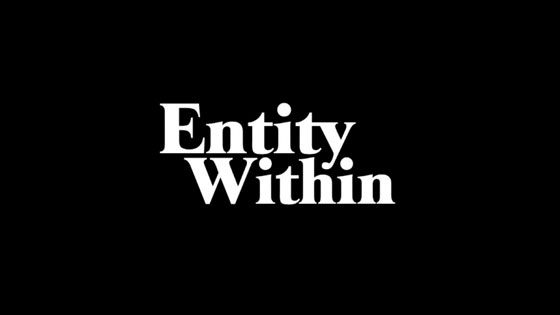 Entity Within